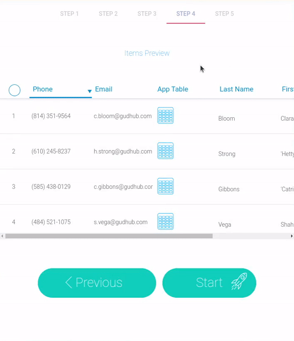 Preview of imported items