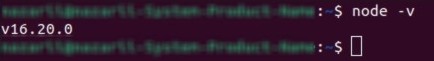 Command for checking the node version